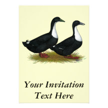 Swedish Ducks Black Custom Invite
