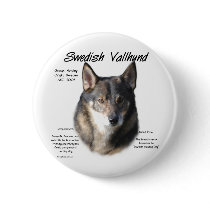 Swedish Vallhund History Design Pinback Button