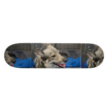 Swedish Vallhund Skateboard