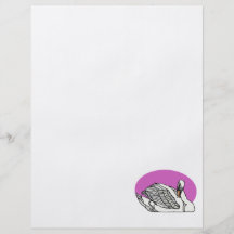 Sweemer Swan Custom Flyer