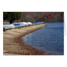 Sweep of Shore Greeting Cards
