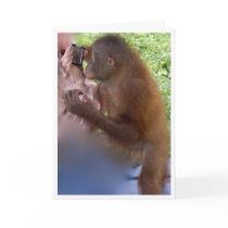 Sweet 16 Birthday Greeting Cards