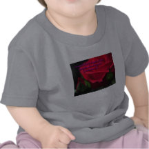 Sweet aroma t shirts