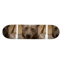 Sweet Australian Cattle Dog Skateboard Decks