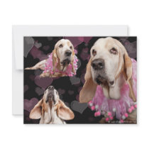 Sweet Basset Valentine Personalized Invites