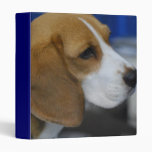 Sweet Beagle Binder