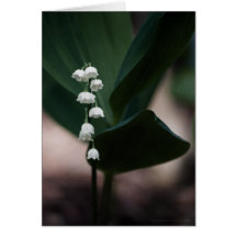 Sweet Bells Card