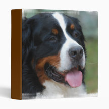Sweet Bernese Binder