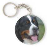 Sweet Bernese Keychain keychains