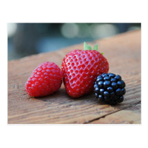 Sweet Berries Post Cards