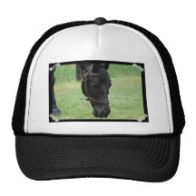 Sweet Black Horse Mesh Hat