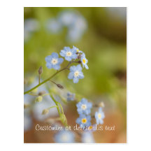 Sweet Blue Flowers; Customizable Postcards