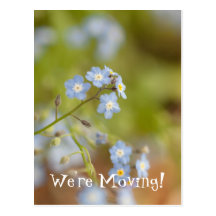 Sweet Blue Flowers Postcard