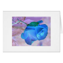 Sweet Blue Rose Cards