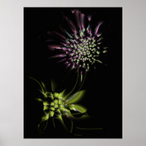 Sweet Briar Print