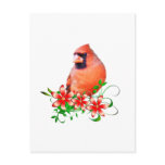 Sweet Cardinal Postcards