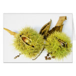 Sweet Chestnut Card