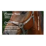 Sweet Chestnut Horse Business Cards