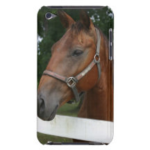 Sweet Chestnut Horse iTouch Case Barely There iPod Case