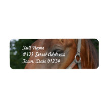 Sweet Chestnut Horse Mailing Labels