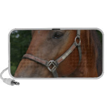 Sweet Chestnut Horse Speakers
