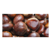 Sweet chestnuts custom photo card