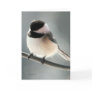 Sweet Chickadee Card
