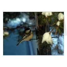 Sweet Chickadee Card