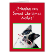 Sweet Christmas Wishes Greeting Cards