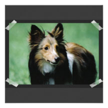 Sweet Collie Invitations