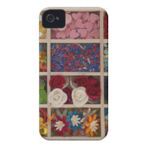 sweet colourful decoration Case-Mate iPhone 4 case