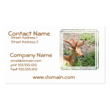 Sweet Deer Business Cards