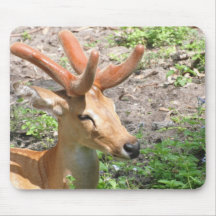 Sweet Deer Mouse Pad