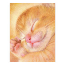 Sweet Dreams Announcement