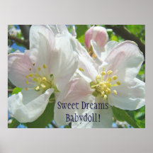 Sweet Dreams Babydoll! Baby Girl's Room art Floral Posters