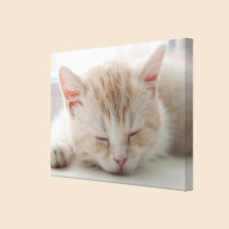 Sweet Dreams Cat Wrapped Canvas canvas prints