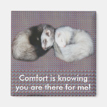 Sweet Dreams Ferrets Magnet