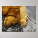 Sweet Dreams GOLDEN RETRIEVER MOM AND PUPPY Print