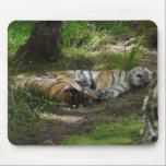 Sweet dreams mousepads