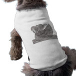 Sweet Dreams(The Angel & The Swan) Pet Tee Shirt