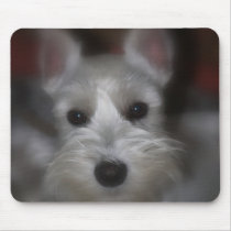 Sweet Face Mouse Pads