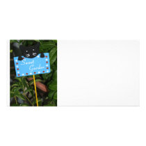 Sweet garden photo card template
