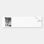 Sweet Giraffe Bumper Sticker