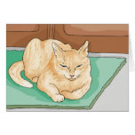 Sweet Kitty Cat Cards