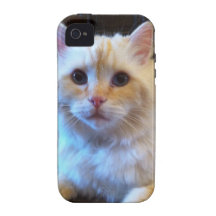 Sweet Kitty Cat iPhone 4/4S Case