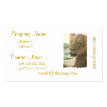 Sweet Lioness Business Cards