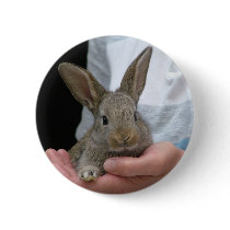 sweet little rabbit