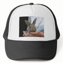 sweet little rabbit