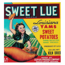 sweet lue yams photo sculpture