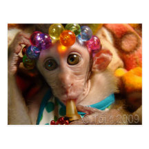 Sweet Meiki Postcard